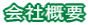 ЊTv